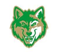 Buford High School Football